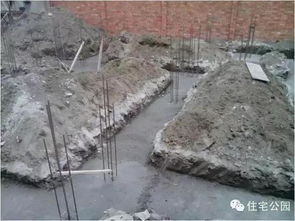 見過農村土豪的別墅嗎 知道怎么建的嗎 別急 有施